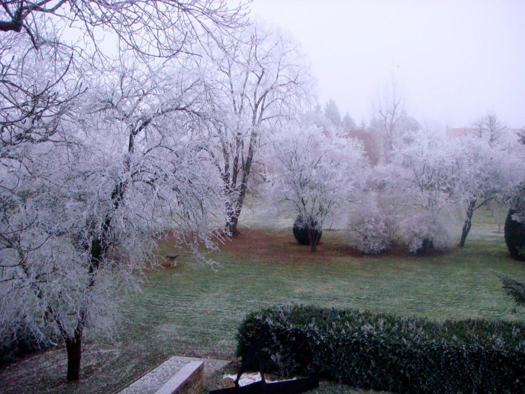 L'Atelier Du Relais Bed & Breakfast Laives Exterior foto